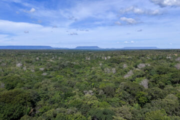 Parceria entre governo e setor produtivo impulsiona regularização ambiental no Tocantins