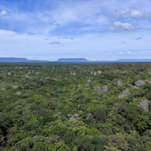Tocantins destaca turismo ecológico e agricultura familiar em comunidades tradicionais durante a Agrotins 2026