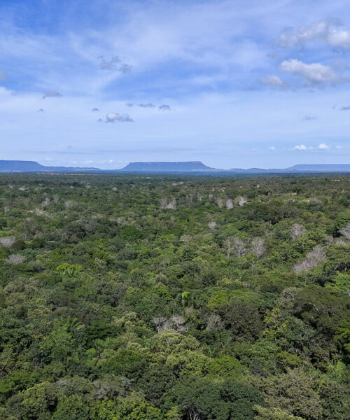 Parceria entre governo e setor produtivo impulsiona regularização ambiental no Tocantins