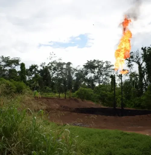 Estudo aponta relação entre queima de gás do petróleo e aumento de casos de câncer na Amazônia equatoriana