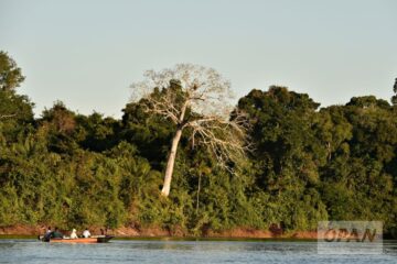 Mineração pressiona 93% das terras indígenas em Mato Grosso e expõe avanço do garimpo ilegal na Amazônia
