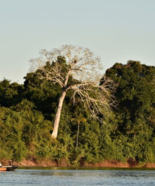 Mineração pressiona 93% das terras indígenas em Mato Grosso e expõe avanço do garimpo ilegal na Amazônia