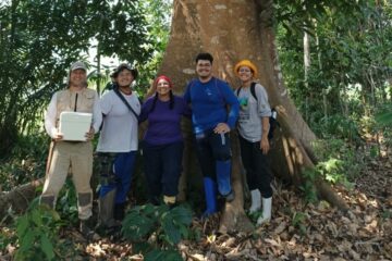 Pesquisa aponta sistemas agroflorestais como alternativa para recuperar biodiversidade no Acre
