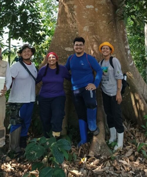 Pesquisa aponta sistemas agroflorestais como alternativa para recuperar biodiversidade no Acre