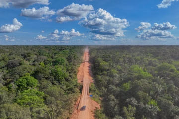 Observatório do Clima aciona Justiça contra obras da BR-319 e amplia disputa sobre infraestrutura na Amazônia