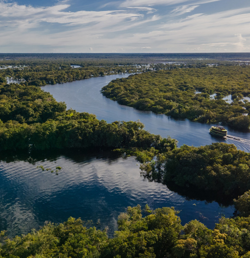 Recursos de concessões florestais avançam na Amazônia e financiam conservação e gestão ambiental local