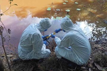 A infraestrutura na Amazônia tem riscos para a biossegurança