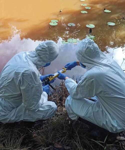 A infraestrutura na Amazônia tem riscos para a biossegurança