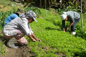 Amazônia concentra mais da metade dos assassinatos no campo e expõe escalada da violência fundiária