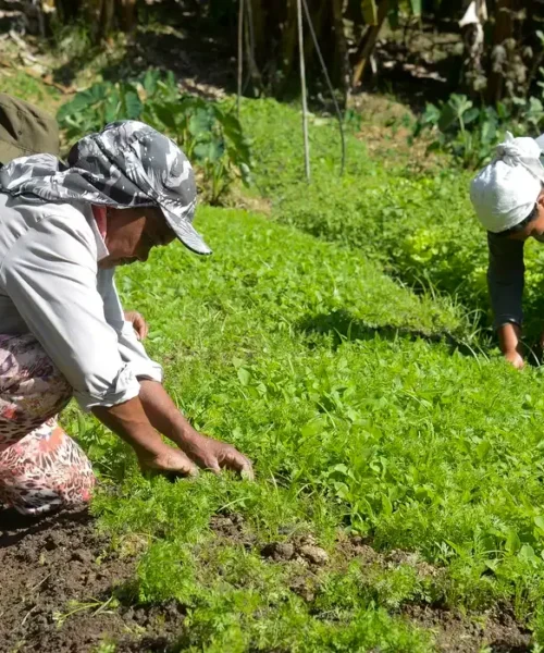 Amazônia concentra mais da metade dos assassinatos no campo e expõe escalada da violência fundiária