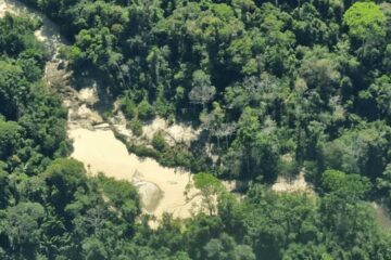 Estudo aponta avanço contínuo do garimpo ilegal em terras indígenas e expõe limites da fiscalização na Amazônia