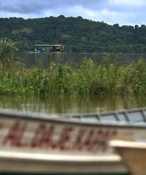 ANM mantém permissões de garimpo no Tapajós apesar de alertas sobre lavagem de ouro ilegal
