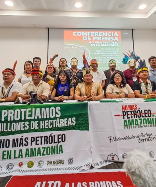 Indígenas criticam modelo de transição energética e denunciam “colonialismo disfarçado” em agenda climática