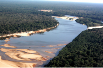 Tocantins lidera ranking de avanço ambiental e amplia protagonismo em sustentabilidade