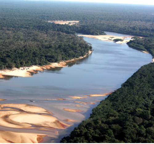 Tocantins lidera ranking de avanço ambiental e amplia protagonismo em sustentabilidade