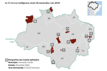 Desmatamento em terras indígenas da Amazônia cai 25%, mas pressão criminosa continua em áreas estratégicas
