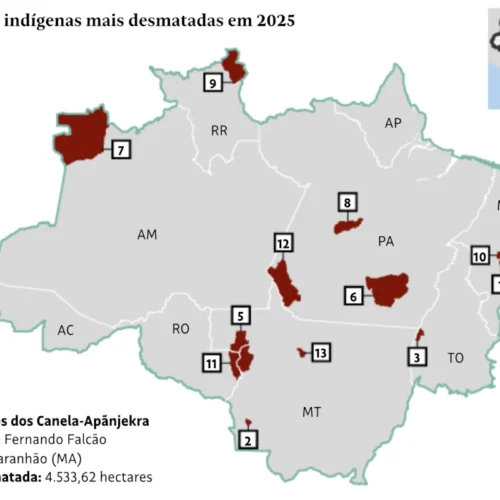 Desmatamento em terras indígenas da Amazônia cai 25%, mas pressão criminosa continua em áreas estratégicas