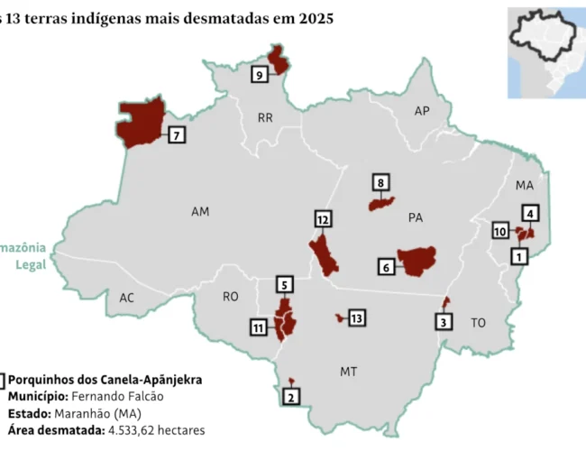 Desmatamento em terras indígenas da Amazônia cai 25%, mas pressão criminosa continua em áreas estratégicas
