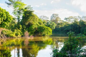 Programa de Resiliência Socioambiental une conservação, segurança hídrica e desenvolvimento sustentável em Rio Branco