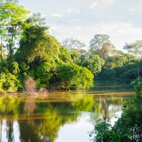 Programa de Resiliência Socioambiental une conservação, segurança hídrica e desenvolvimento sustentável em Rio Branco