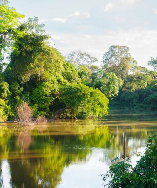 Programa de Resiliência Socioambiental une conservação, segurança hídrica e desenvolvimento sustentável em Rio Branco