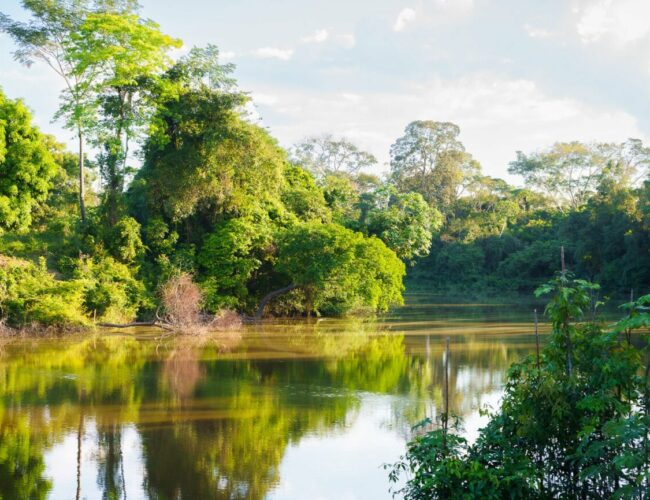 Programa de Resiliência Socioambiental une conservação, segurança hídrica e desenvolvimento sustentável em Rio Branco