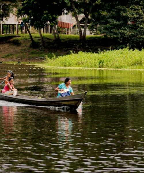 Edital de R$ 4,5 milhões impulsiona projetos sustentáveis e amplia estratégia climática no Acre