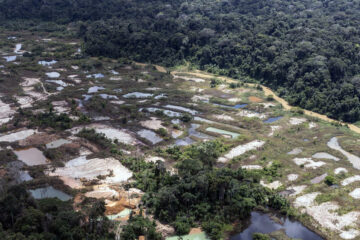 Relatório aponta que expulsão de garimpeiros não desmontou rede ilegal do ouro na Amazônia