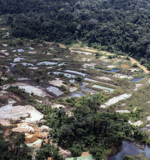 Relatório aponta que expulsão de garimpeiros não desmontou rede ilegal do ouro na Amazônia