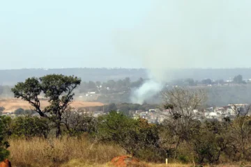 Ministério do Meio Ambiente lança edital para arborizar periferias de pequenas cidades e ampliar combate ao calor extremo