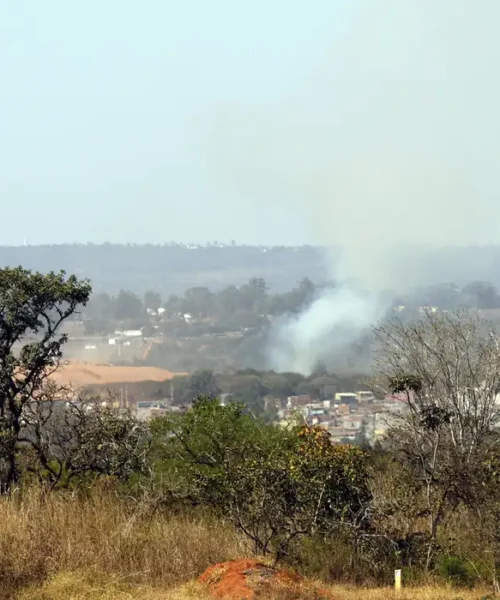 Ministério do Meio Ambiente lança edital para arborizar periferias de pequenas cidades e ampliar combate ao calor extremo