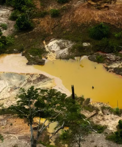 Área degradada pelo garimpo cai na Terra Yanomami, mas atividade ilegal muda estratégia e continua avançando