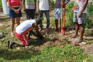 Pará planta 10 mil árvores em um único dia e reforça ações de recuperação ambiental