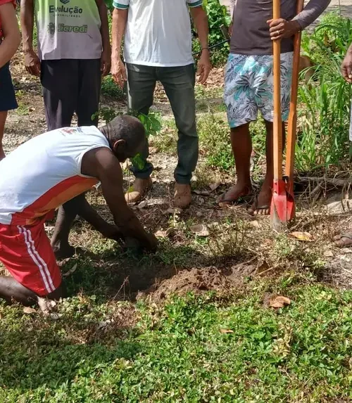 Pará planta 10 mil árvores em um único dia e reforça ações de recuperação ambiental