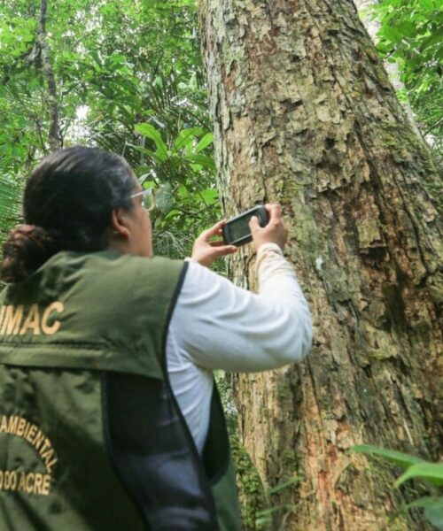 Imac digitaliza fiscalização ambiental e lança sistema eletrônico para emissão de multas no Acre