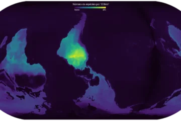 Mapa revela por que a pavimentação da BR-319 pode abrir nova fronteira de desmatamento na Amazônia