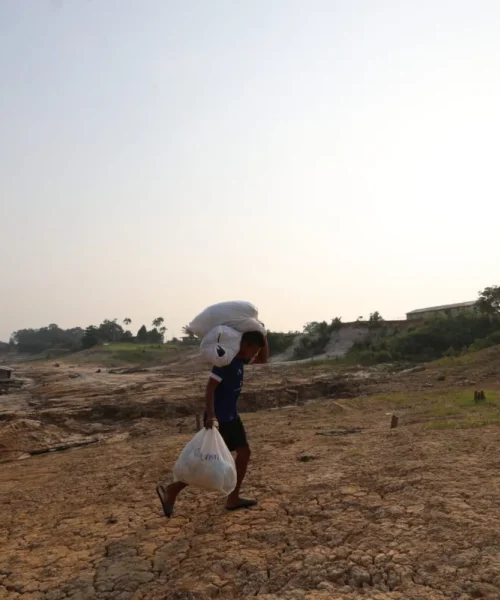 Países amazônicos articulam aliança para proteger a floresta diante de possível novo El Niño