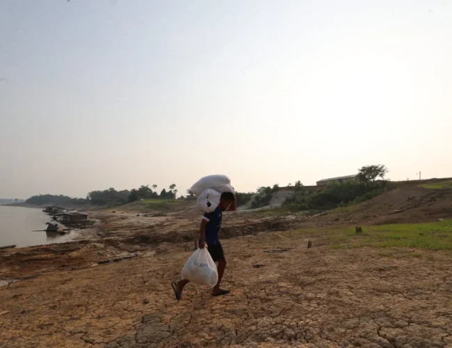 Países amazônicos articulam aliança para proteger a floresta diante de possível novo El Niño