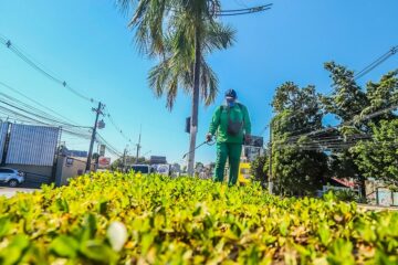 Prefeitura intensifica manutenção de jardins, rotatórias e canteiros para ampliar paisagismo em Rio Branco