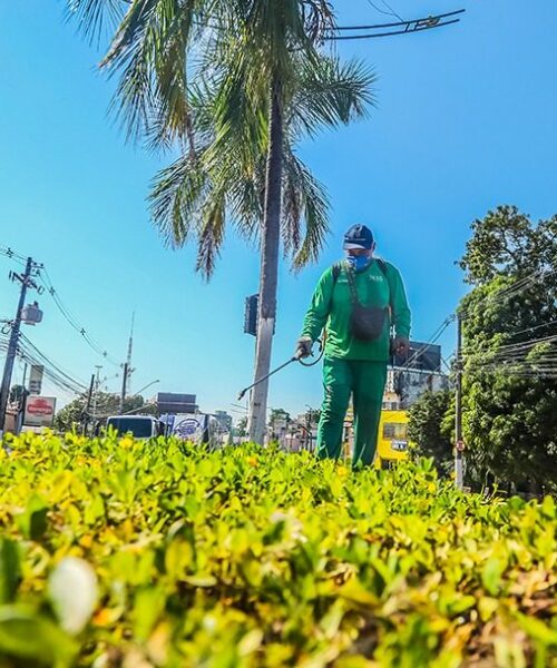 Prefeitura intensifica manutenção de jardins, rotatórias e canteiros para ampliar paisagismo em Rio Branco