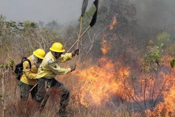 Conhecimento indígena orienta novas estratégias de combate a incêndios no Território Indígena do Xingu
