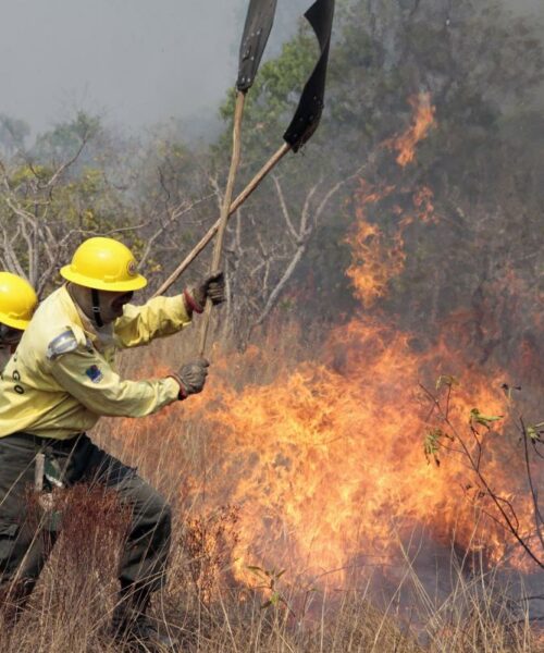 Conhecimento indígena orienta novas estratégias de combate a incêndios no Território Indígena do Xingu