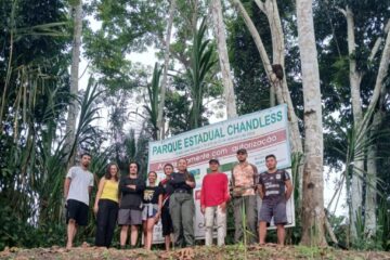 Pesquisa identifica quatro novas espécies de formigas no Parque Estadual Chandless e reforça importância científica do Acre