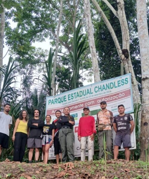 Pesquisa identifica quatro novas espécies de formigas no Parque Estadual Chandless e reforça importância científica do Acre