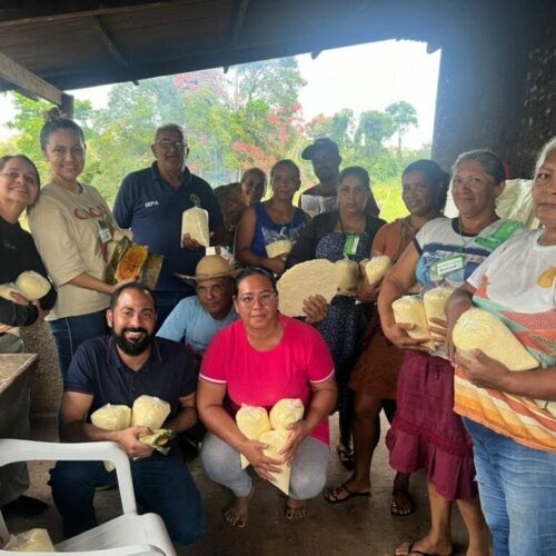 Acre promove capacitação para fortalecer cadeia produtiva da mandioca