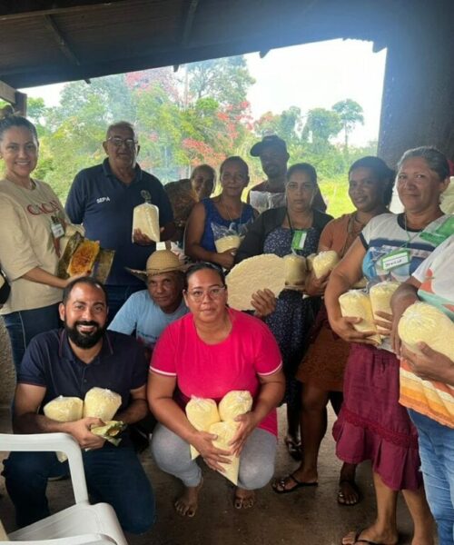 Acre promove capacitação para fortalecer cadeia produtiva da mandioca