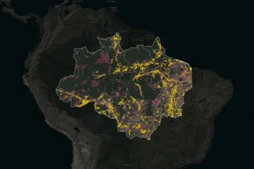 Cadastro Ambiental Rural ignora milhares de sítios arqueológicos na Amazônia, aponta levantamento
