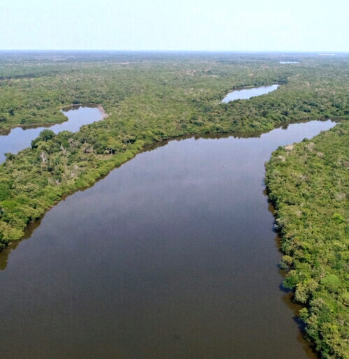 Tocantins cria programa que converte multas ambientais em ações de recuperação e conservação