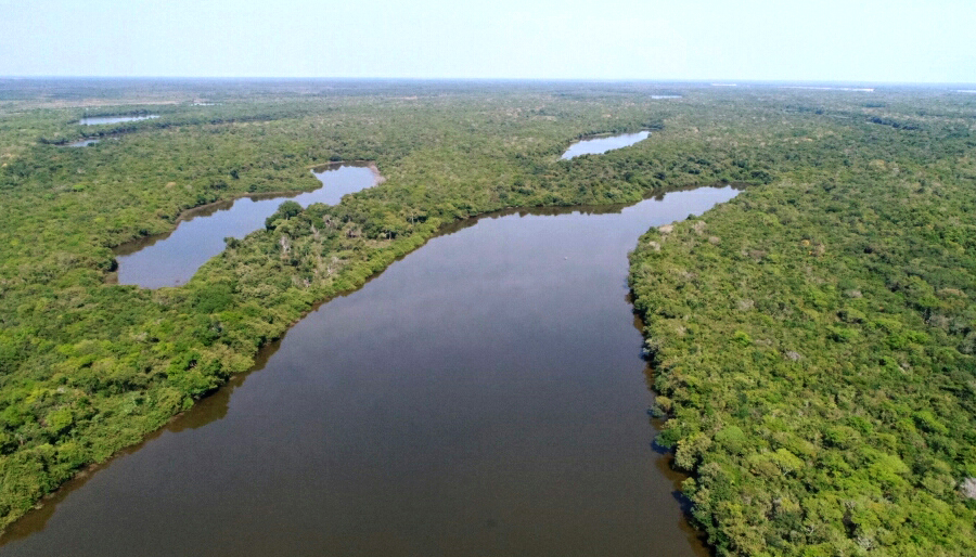 Tocantins cria programa que converte multas ambientais em ações de recuperação e conservação