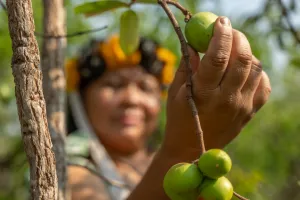 Povos indígenas do Alto Juruena adaptam modos de vida após perda de mais da metade da água em seus territórios